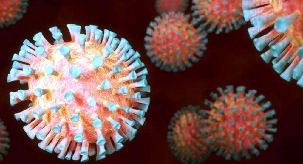 Ilustrasi virus – Peneliti FKUI ungkap temuan awal dugaan penyebab penyakit Hepatitis Misterius karena adenovirus /Pixabay/BlenderTimer