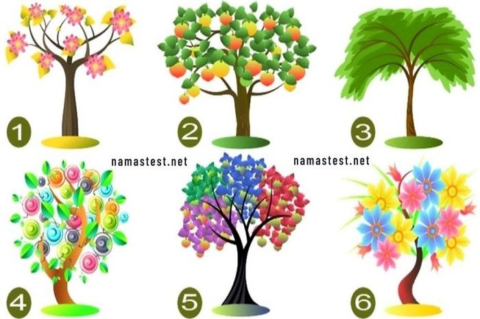 Pilih satu pohon pada gambar tes kepribadian untuk mengungkap fakta menarik diri Anda.