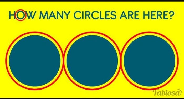 Jumlah lingkaran pada tes IQ.