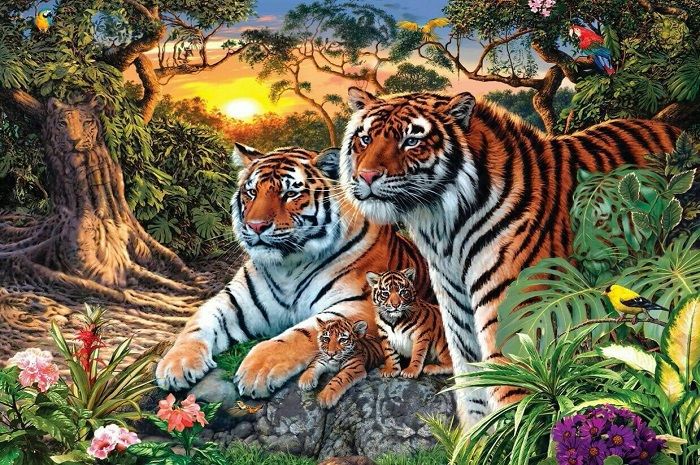 Tes fokus: Cari sampai ketemu sebab ada 17 ekor harimau yang tersembunyi pada gambar berikut, berani coba?*