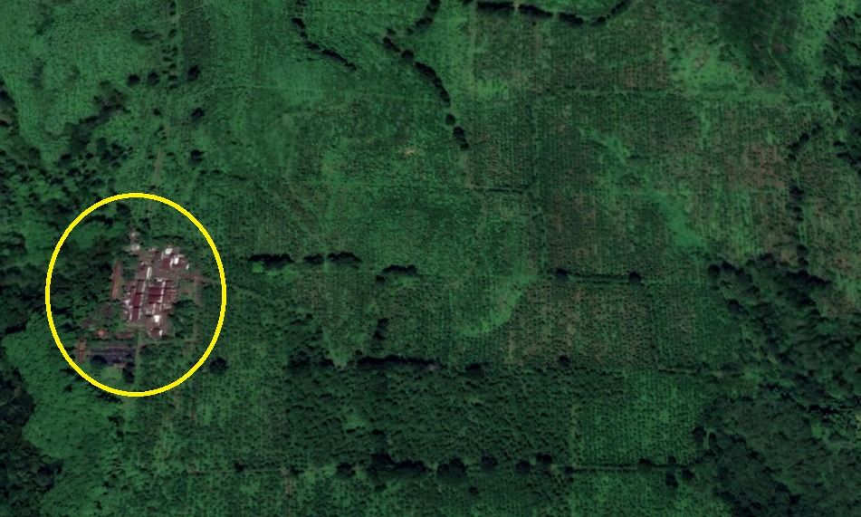 Lokasi KKN di Desa Penari terkuak? Ini 6 petunjuk Hutan Gumitir tempat roh Bima dan Ayu terjebak.