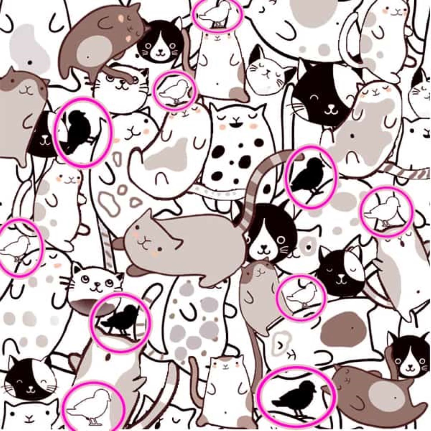 Tes Visual : Berapa Banyak Burung Yang Ada Diantara Kucing Ini? Uji Kemampuan Anda