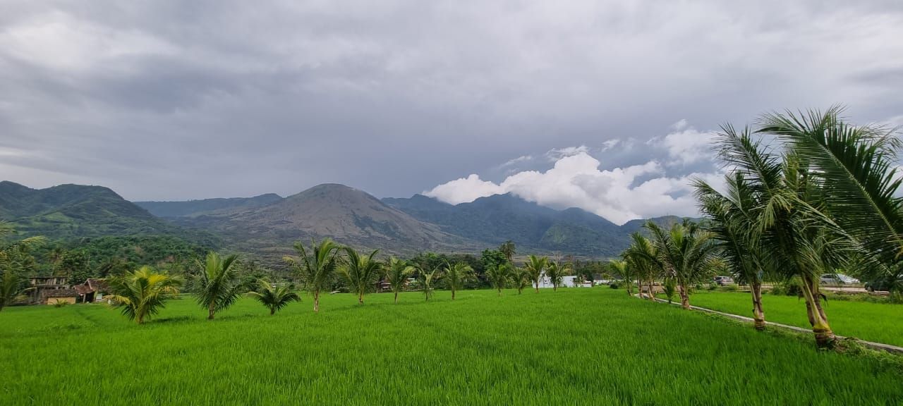 Gunung Guntur di Garut dengan latar depan persawahan di kawasan Rancabango.