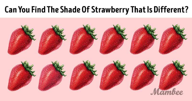 Cari Strawberry yang berwarna berbeda.