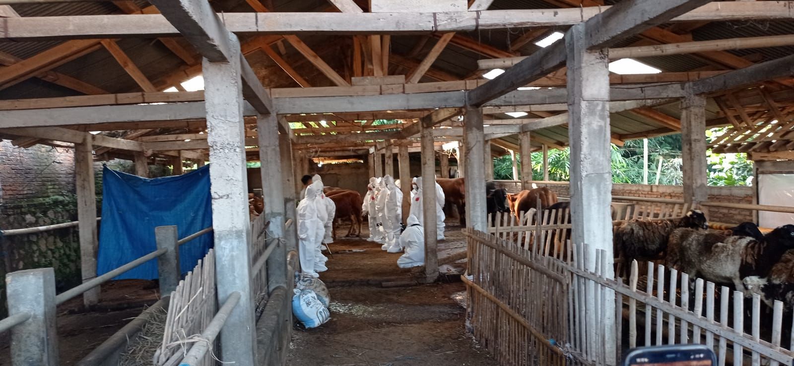 Menteri Pertanian Kunjungi Cilayung Jatinangor, dua sapi terkonfirmasi positif terinfeksi PMK, Rabu 18 Mei 2022.