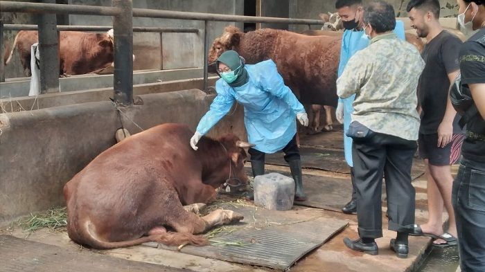 Bandung sudah dikepung penyakit Mulut dan Kuku (PMK) dari ternak sapi?./pikiran-rakyat.com