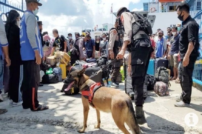 Ketika Anjing Pelacak Datang Terlambat Bak Bocah Kesiangan Sekolah ...