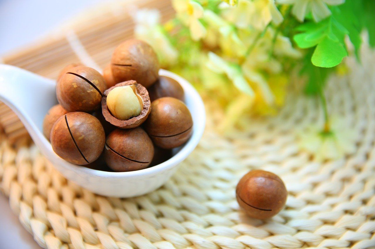 5 manfaat kesehatan kacang macadamia, kaya akan nutrisi hingga dapat menyehatkan jantung