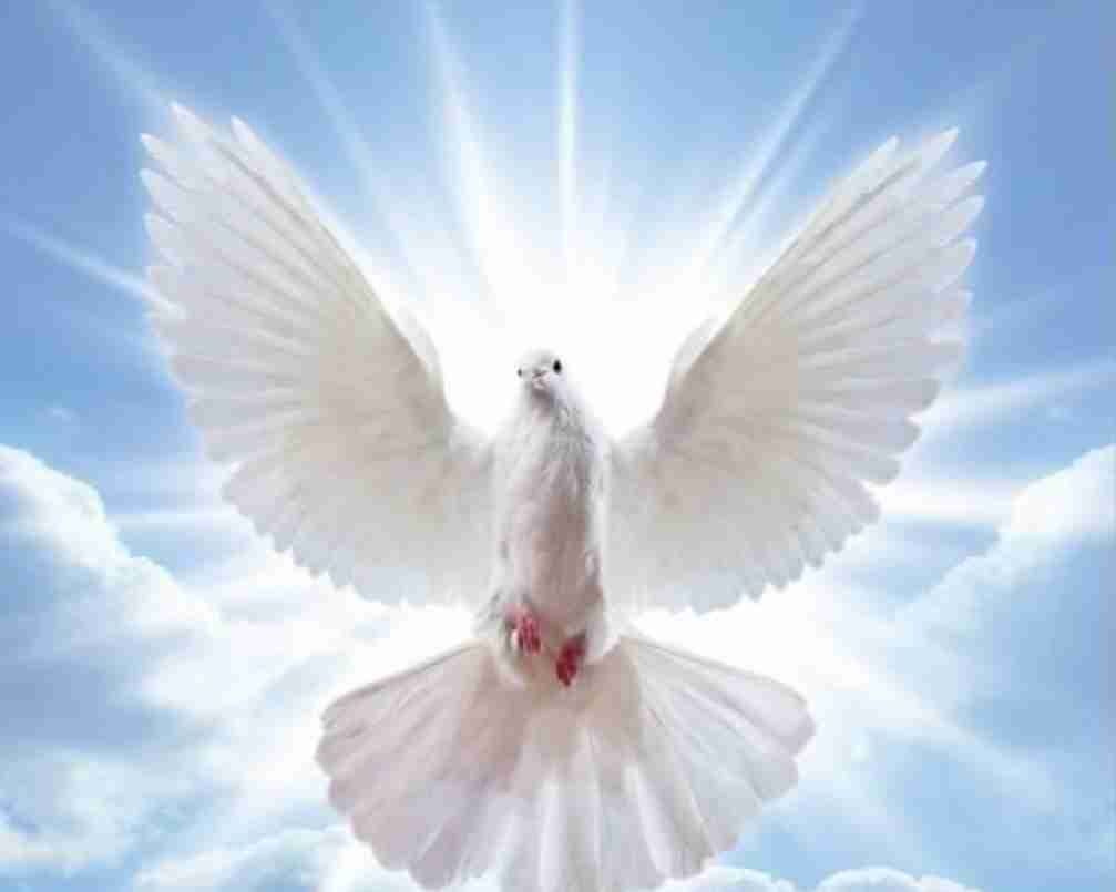 Roh Kudus itu powerful