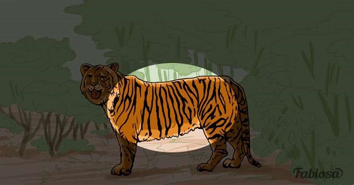 Harimau kedua pada gambar tes IQ.