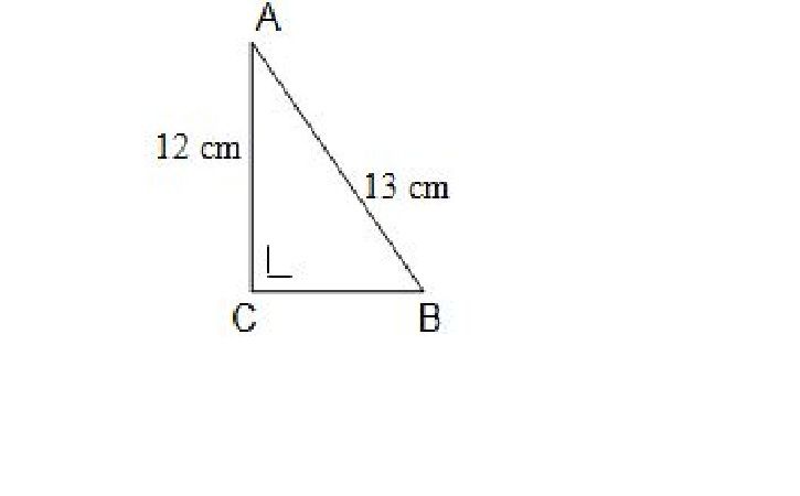 Latihan Soal Pat Matematika Smp Mts Kelas 8 10 Butir Soal Pg Disertai Kunci Jawaban Sukses Pat 2452