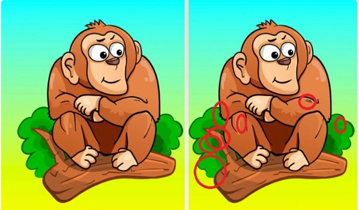 Letak tujuh perbedaan pada gambar monyet ini.*