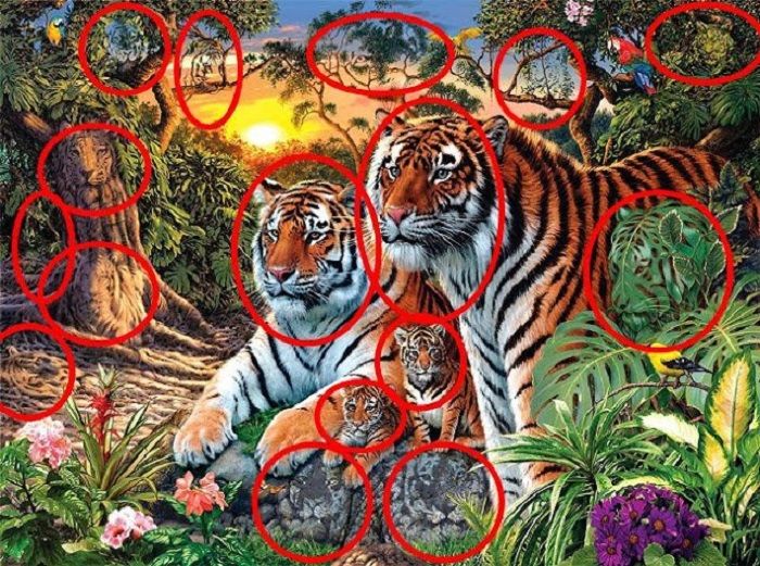 Jawaban tes IQ soal jumlah harimau di gambar.