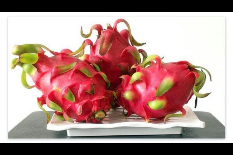 Menakjubkan! 3 Manfaat Mengkonsumsi Buah Naga, Salah Satunya Adalah Merawat Kesehatan Mata/ Pixabay