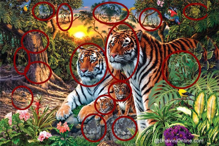 Ini 16 harimau yang ada pada gambar ini.*