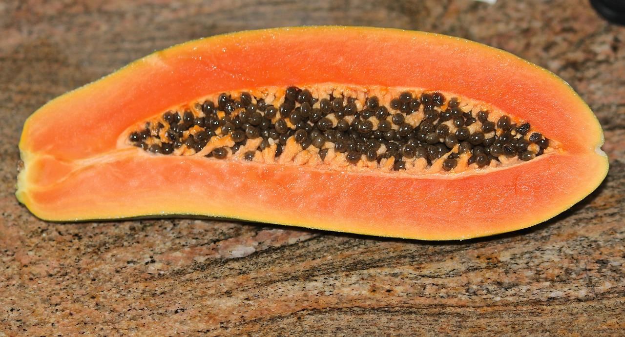 Pepaya mengandung nutrisi yang baik bagi tubuh.