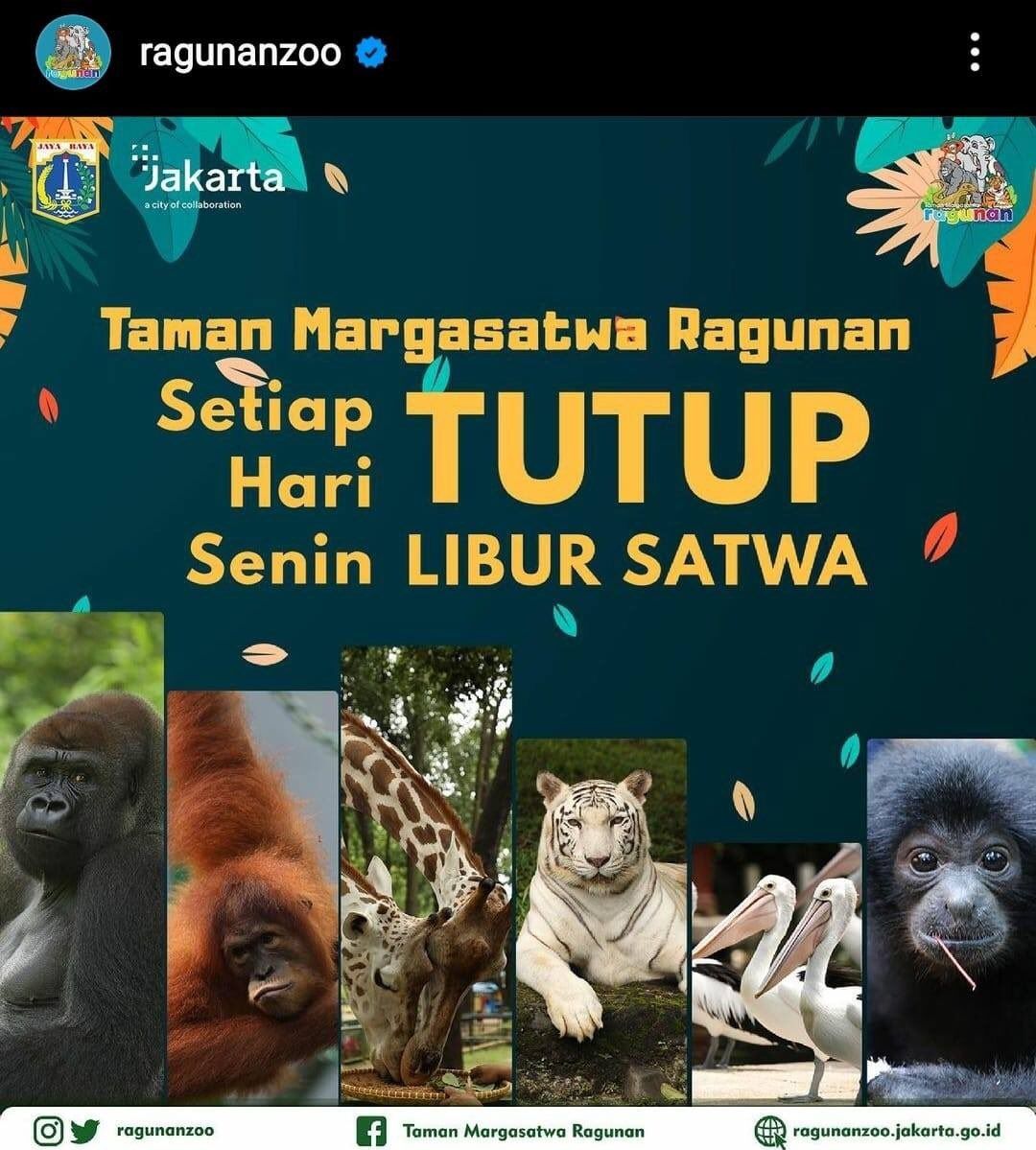 Poster unggahan Taman Margasatwa Ragunan di Instagram @ragunanzoo membuat bingung karena tata bahasanya