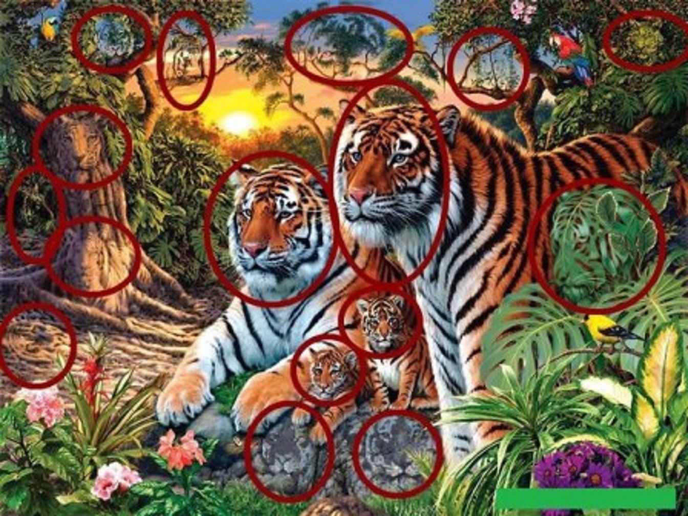 Jaban tes IQ uji kejelian, menampilkan seluruh keberadaan harimau dalam gambar/Jagranjosh.com