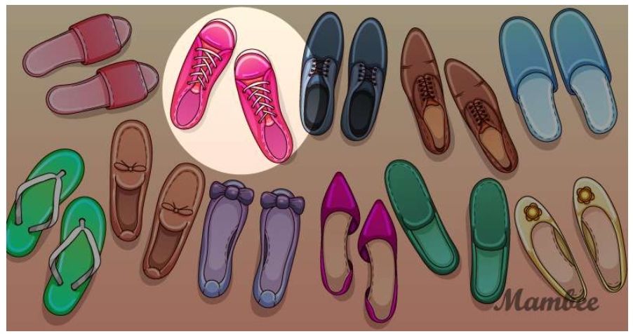 Jawaban tes IQ : yang salah dengan gambar ini adalah sepatu pink ini, tidak berpasangan./Mambee