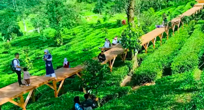 Tea Bridge Gunung Mas/kanal YouTube/Gumasep Project