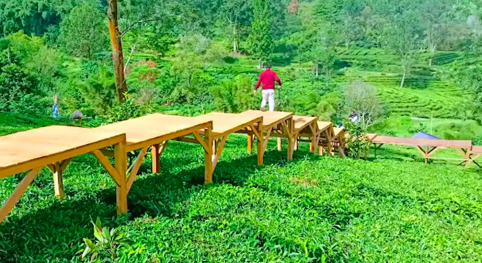 Tea Bridge Gunung Mas Puncak