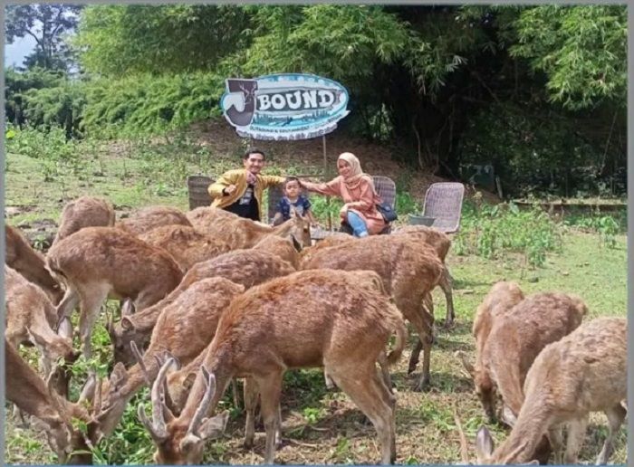 Jbound, tempat wisata di Bogor yang edukatif, menanamkan rasa cinta pada satwa atau hewan pada anak