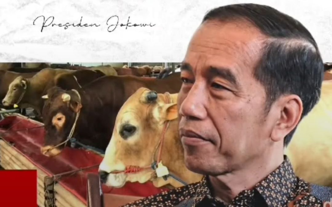 Berapa Umur Jokowi Sekarang? Simak Profil dan Biodata Presiden