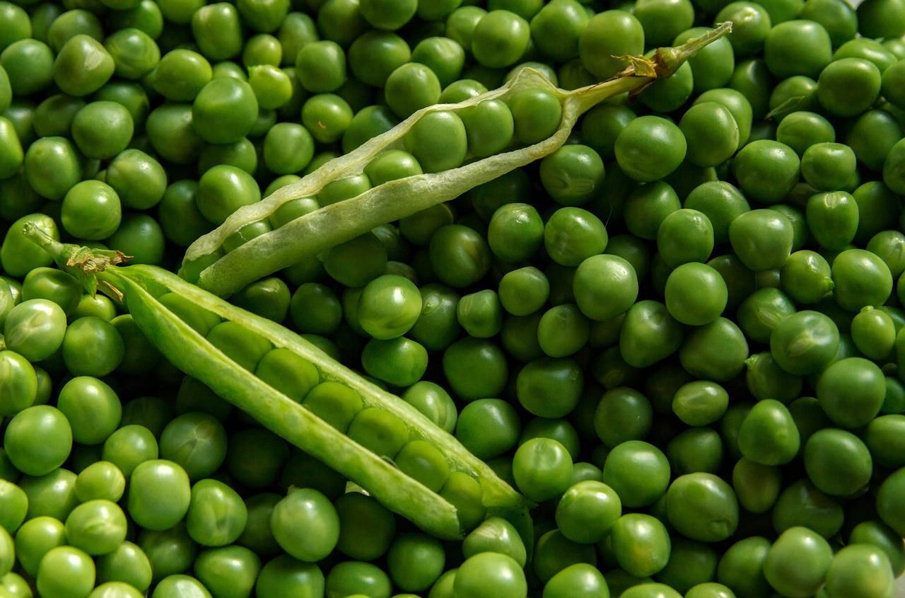 Kacang polong diketahui mengandung senyawa antioksidan yang berperan menangkal radikal bebas.