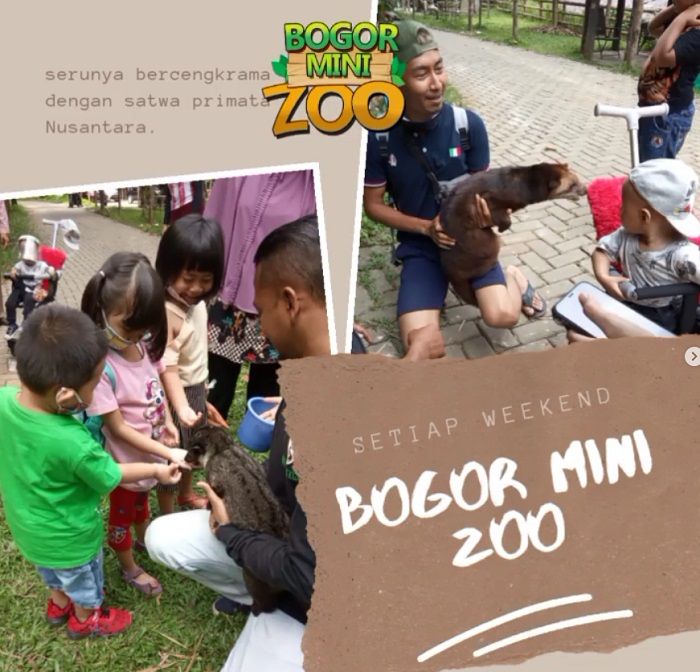 Bogor Mini Zoo, tempat wisata di Bogor yang edukatif. Tempat menanamkan rasa cinta anak pada satwa atau hewan