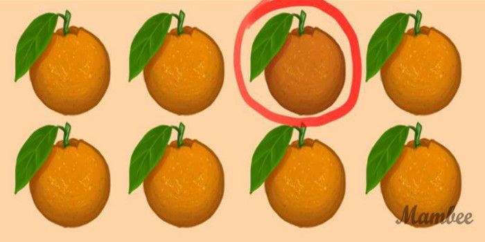Jawaban tes fokus dalam mencari buah jeruk yang berbeda di gambar Mambee. 