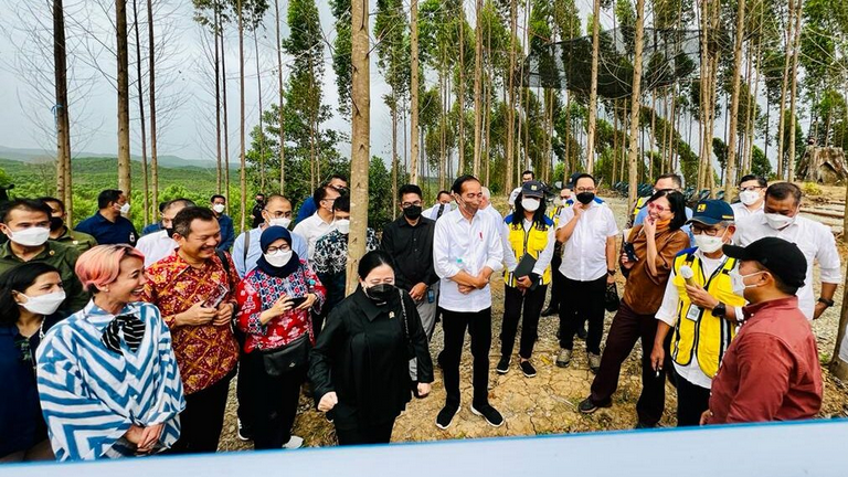 Presiden Joko Widodo meninjau Kawasan Inti Pusat Pemerintahan (KIPP) IKN, di Kabupaten Penajam Paser Utara, Provinsi Kalimantan Timur, Rabu, 22 Juni 2022. Foto: BPMI Setpres/Laily Rachev.