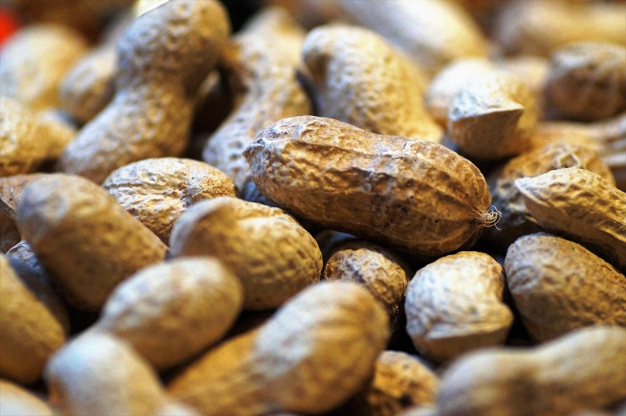 Kandungan zat gizi dalam kacang tanah sangat bermanfaat untuk kesehatan.