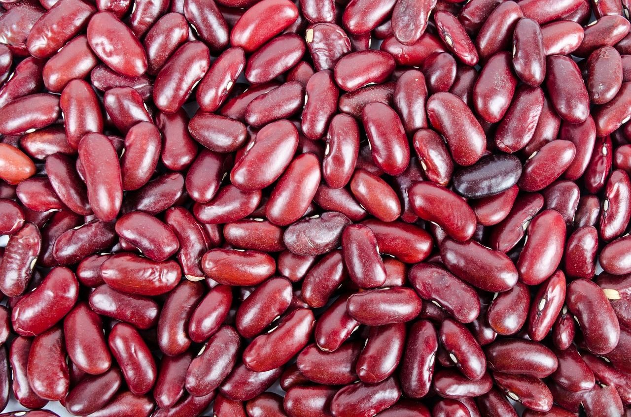 Kacang merah mengandung nutrisi yang sangat melimpah dan bermanfaat untuk kesehatan.