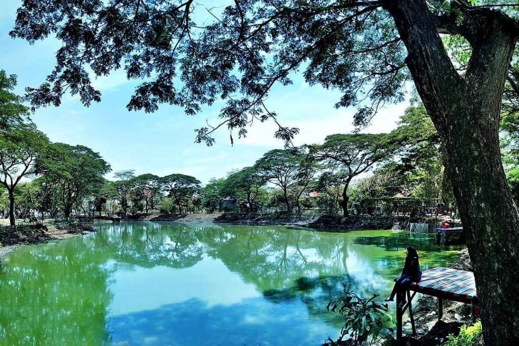 Luas lahannya yang membentang hijau membuat Ekowisata Mangrove Surabaya menjadi pilihan utama wisatawan.