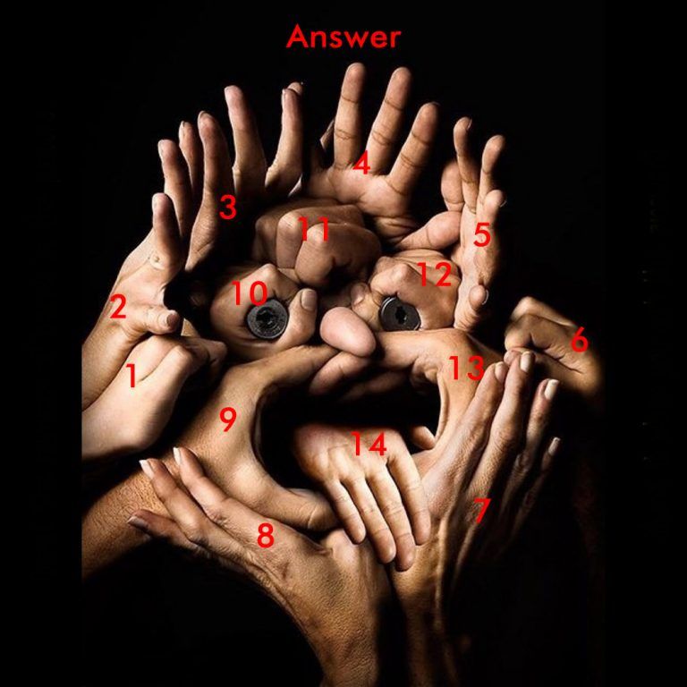 Jawaban Tes IQ dan Psikotes, Ada Berapa Jumlah Tangan?