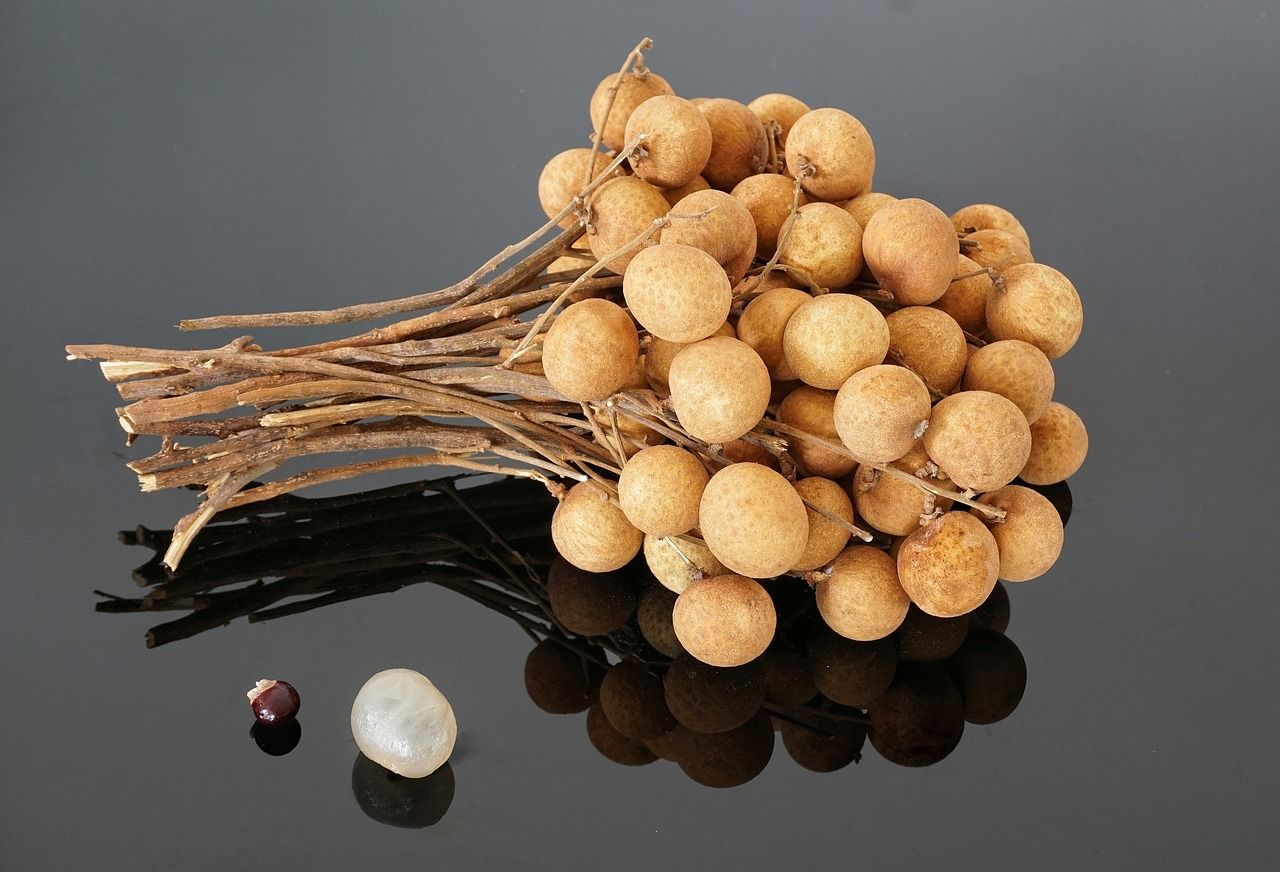 Menyimpan kandungan nutrisi, buah kelengkeng sangat bermanfaat untuk kesehatan.