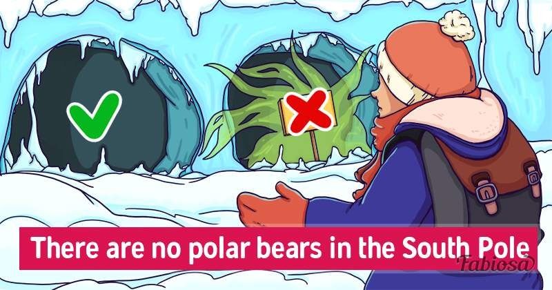 Jawaban tes IQ melalui gua yang ada beruangnya karena di Kutub Selatan tidak ada beruang./Fabiosa