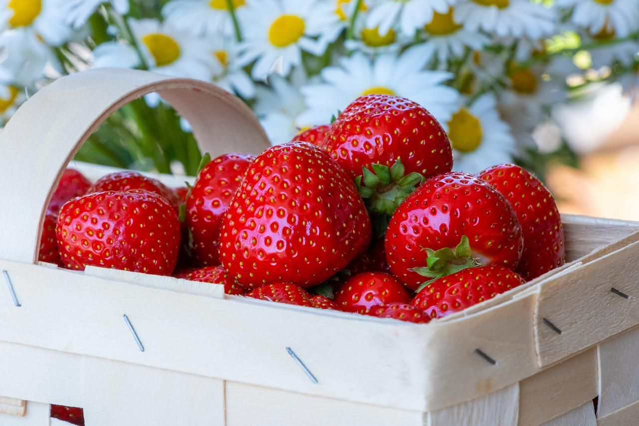 Buah strawberry mempunyai banyak manfaat untuk kulit khususnya jika digunakan sebagai masker,