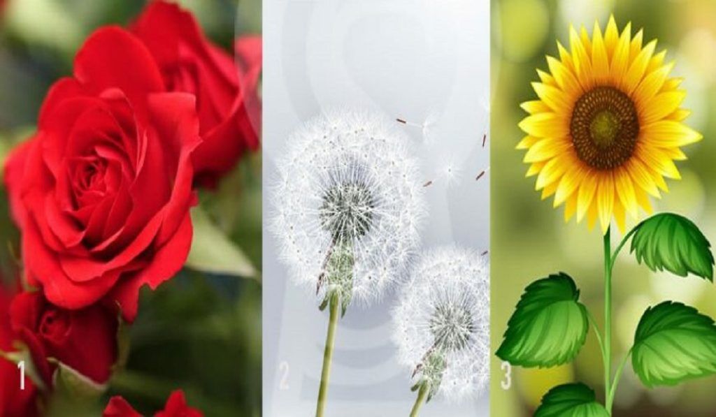 Tes kepribadian: pilih satu bunga ini dan temukan sisi kewanitaan Anda.
