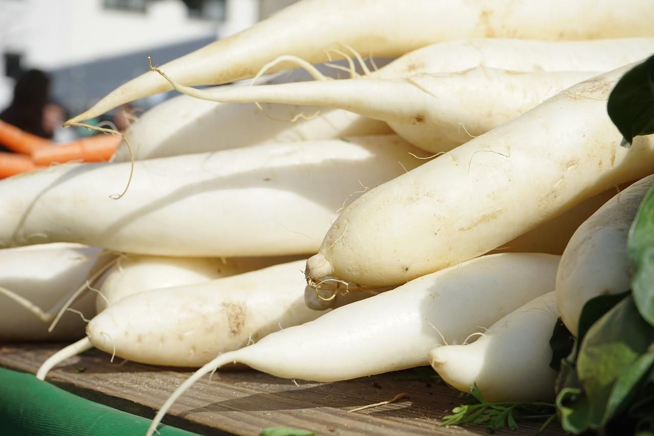 Lobak putih mengandung vitamin dan mineral yang baik untuk tubuh.