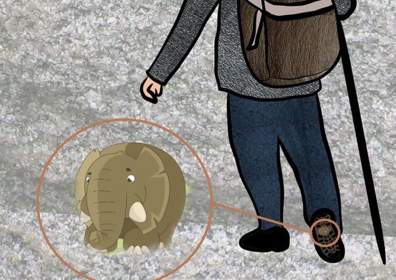 Jawaban tes IQ dalma menemukan gajah yang bersama pria di gambar Pixabay.  