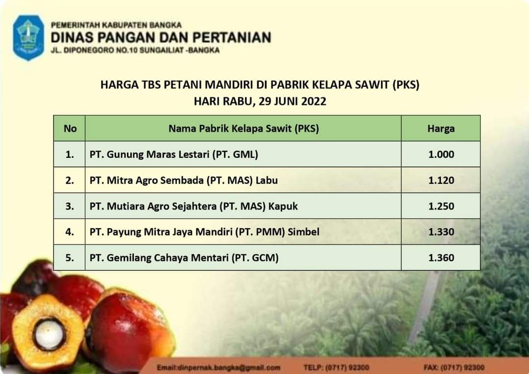 Harga Kelapa Sawit di Kabupaten Bangka Khusus Petani Mandiri Non Kemitraan di PKS. 