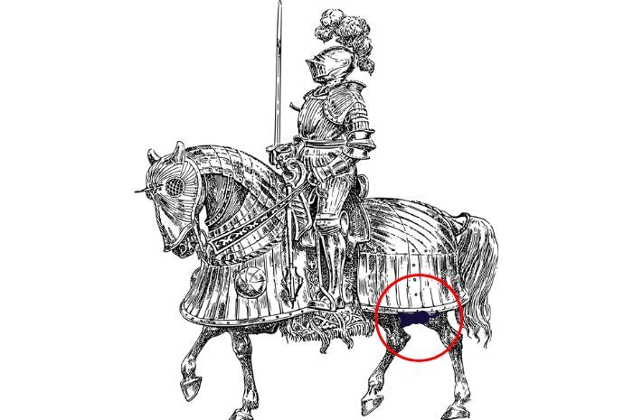 Jawaban tes fokus dalam menemukan penumpang gelap di kuda prajurit pada gambar Pixabay. 