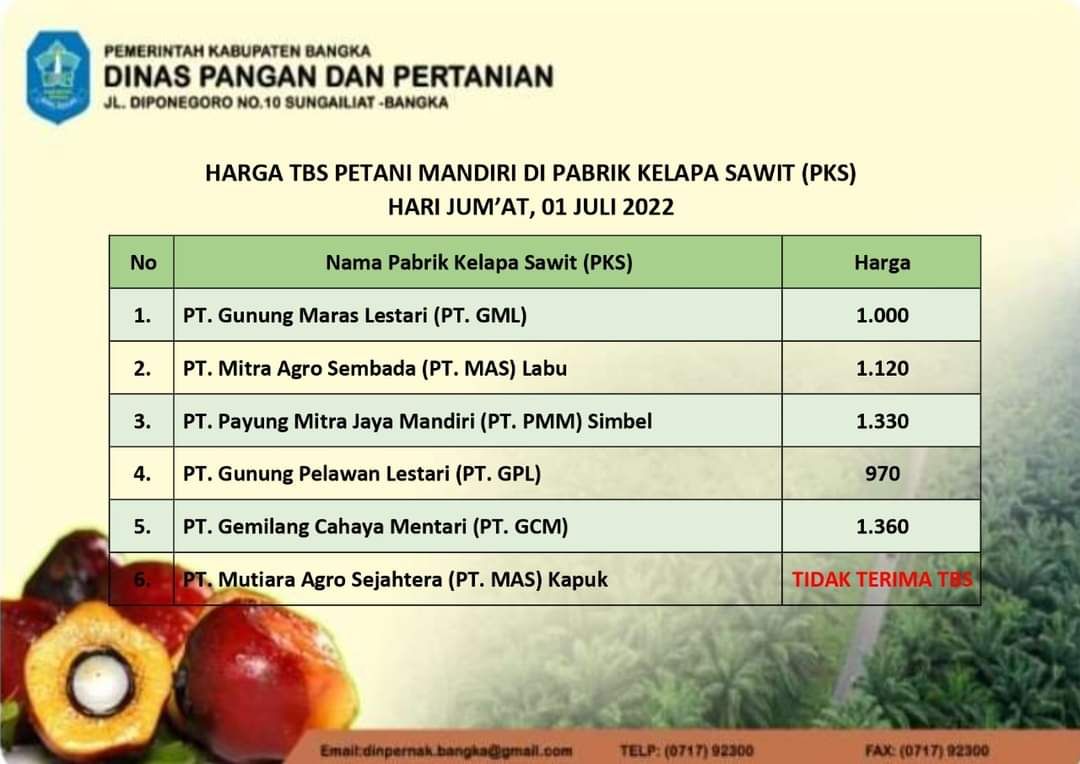Harga TBS Kelapa Sawit Petani Mandiri/ Facebook Dinas Pangan dan Pertanian Pemerintah Kabupaten Bangka. 