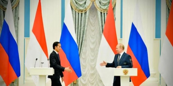 Presiden Joko Widodo Bertemu Presiden Vladimir Putin/ANTARA/Layli Rachev