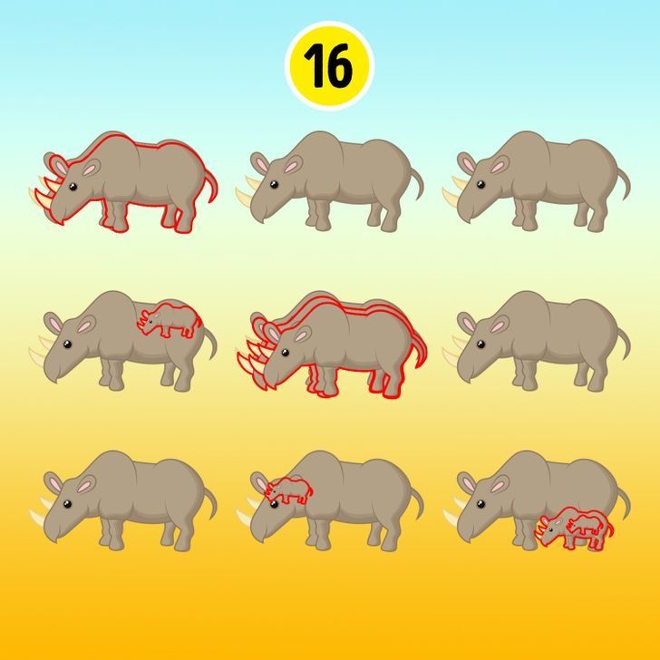 Jawaban tes IQ : jumlah badak seluruhnya adalah 16 ekor./educadoreslive.com