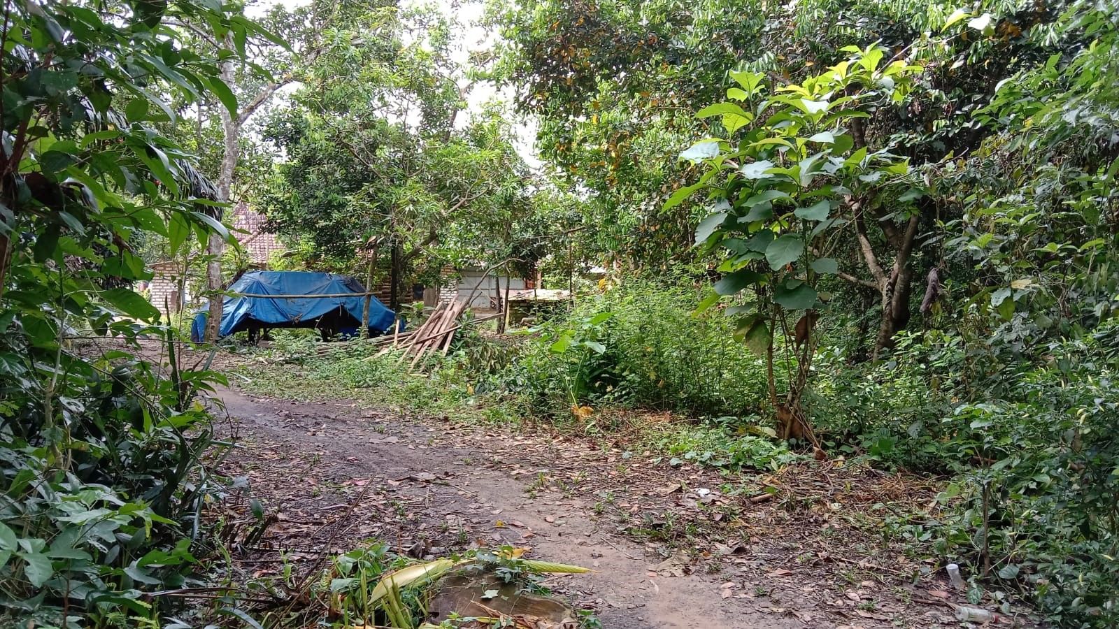 Desa Pocong Bangkalan