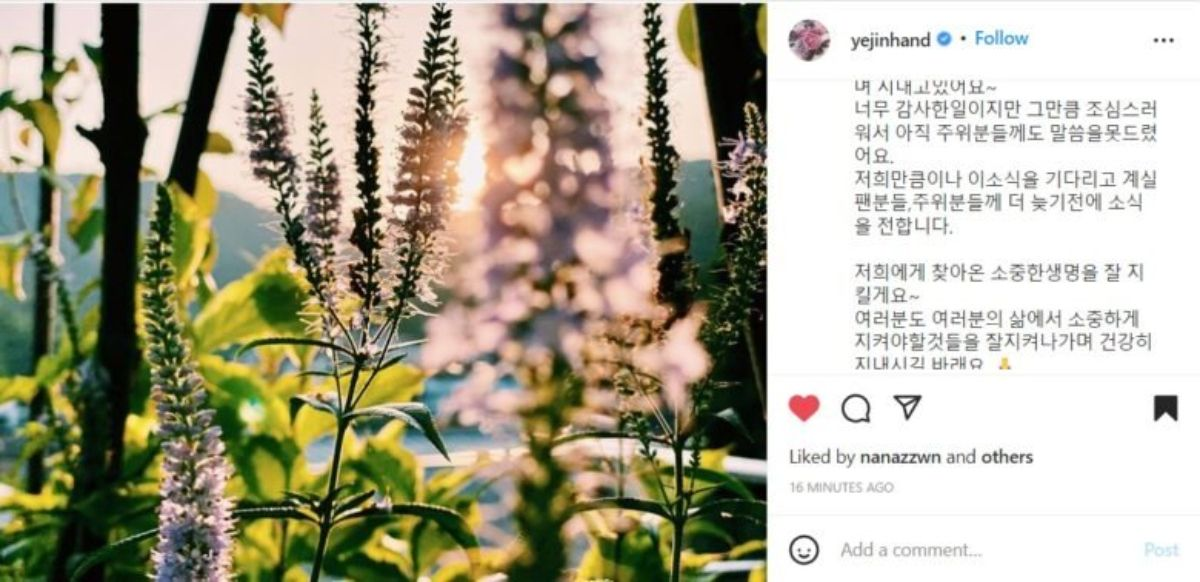 Postingan Instagram Son Ye Jin saat mengumumkan kehamilannya