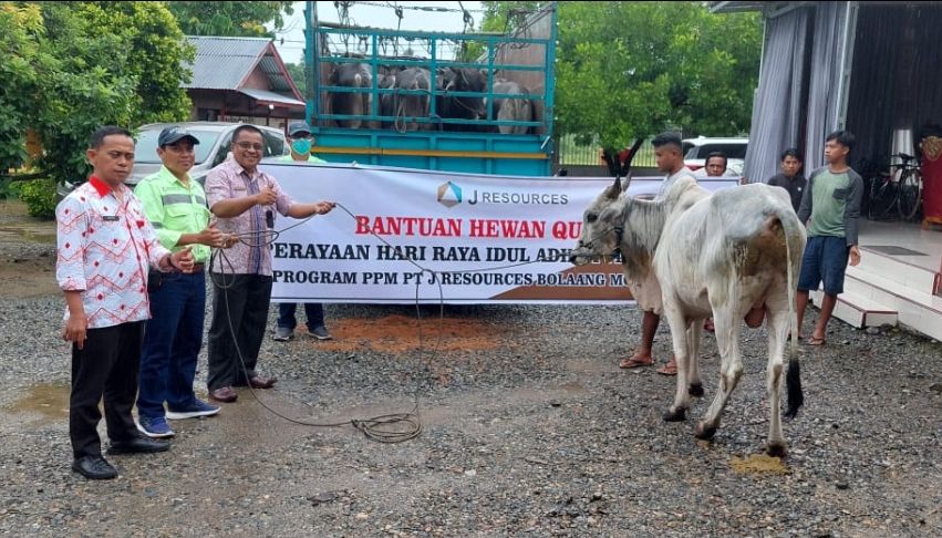 Bantuan hewan Qurban dari PT JRBM untuk Pemda Bolsel yang di terima di rudis Bupati Desa Soguo