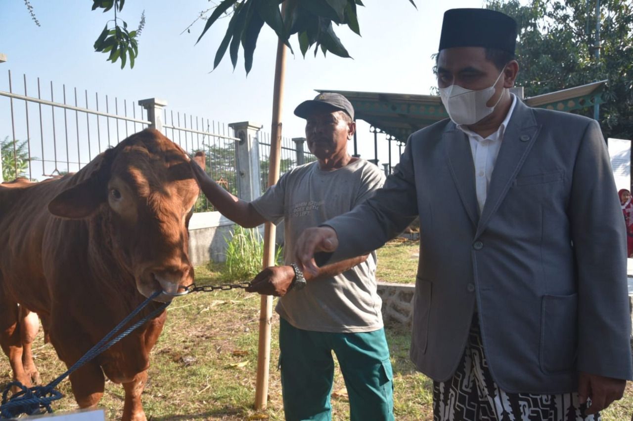 Wakil Gubernur Jawa Tengah, Taj Yasin Maimoen menyerahkan hewan kurban ke panita MAJT.